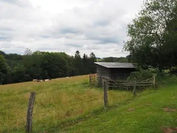 Coulnifontaine (België) (samenvloeiing westelijke en oostelijke Ourthe)